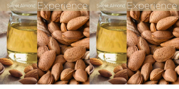 Cuccio Butter 8 oz – Sweet Almond - Image 2