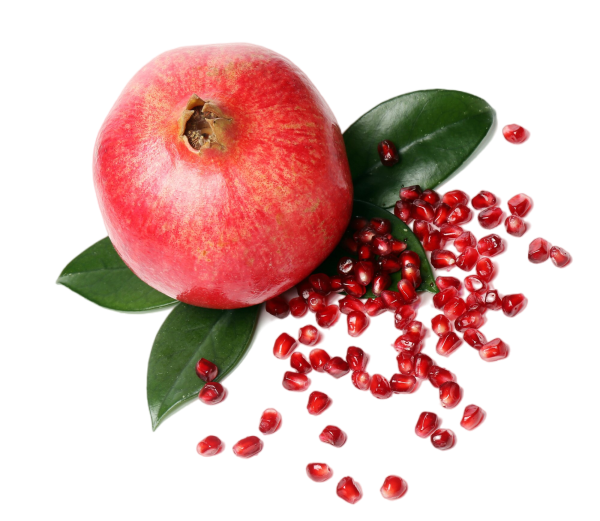 Lyte Butter 8 oz – Pomegranate & Fig - Image 2