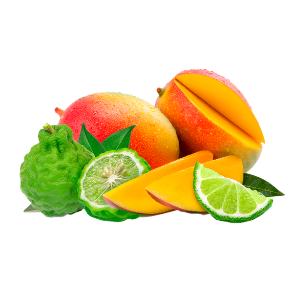 Cuccio Butter 8 oz – Mango & Bergamota - Image 2