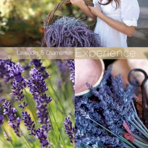 Butter Blend 4 oz – Lavender & Chamomile - Image 2