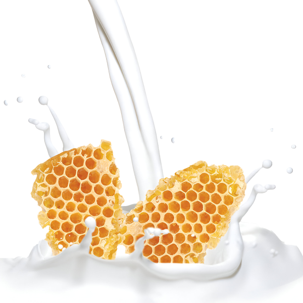 Lyte Butter 8 oz – Milk & Honey - Image 2